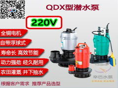 QDX型潜水泵